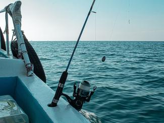 La pêche au vif la technique ancestrale qui...