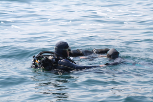 Le baptême de plongée comment se déroule vraiment la toute première immersion en mer