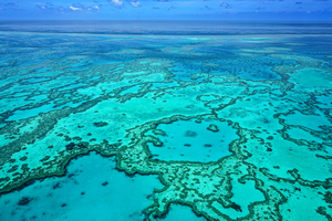 Australie : pourquoi octobre est l’un des meilleurs mois pour découvrir la Grande Barrière de corail