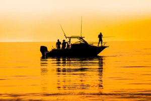 La pêche au drop shot en mer ou l’art de faire insister le leurre