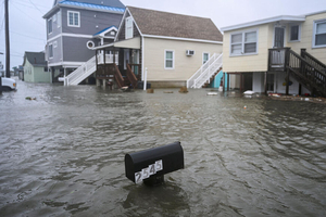 VIDÉO – Un requin filmé en pleine rue après de violentes inondations dans le New Jersey