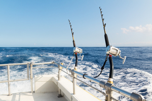 Pêche au gros : les nouveaux codes du Big Game Fishing en France