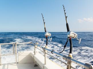 Pêche au gros : les nouveaux codes du Big Game...