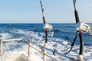 Pêche au gros : les nouveaux codes du Big Game Fishing en France