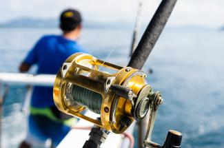 Pêche en mer : ce que vous avez vraiment le droit de garder à bord en 2026