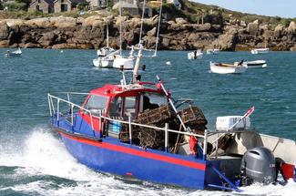 Jersey, Chausey, Minquiers : ces nouvelles zones protégées qui changent ...