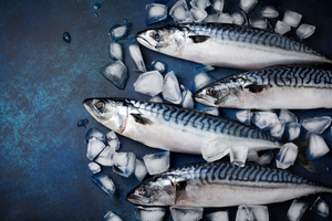 Maquereau: les scientifiques recommandent une baisse des captures de 11% dans l'Atlantique
