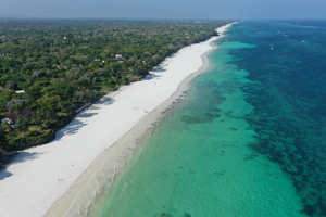 Diani Beach en octobre : là où l’océan Indien rencontre la savane kenyane