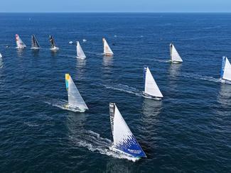 Route du Rhum - Destination Guadeloupe 2026 :...