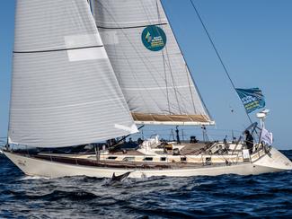 Route du Rhum - Destination Guadeloupe 2026 :...