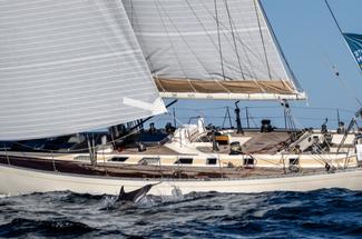 Route du Rhum - Destination Guadeloupe 2026 : en Vintage Mono, des batea...
