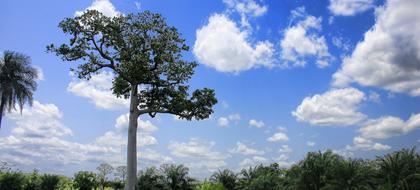 weather Togo Lomé