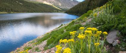 weather United States Trail ridge