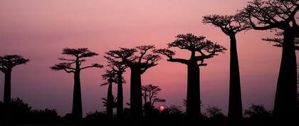 weather Madagascar Fiadanana