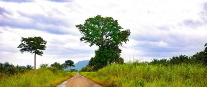 weather Togo Ningbaoude 2