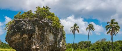 weather Tonga Pea