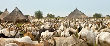 weather South Sudan Labrab