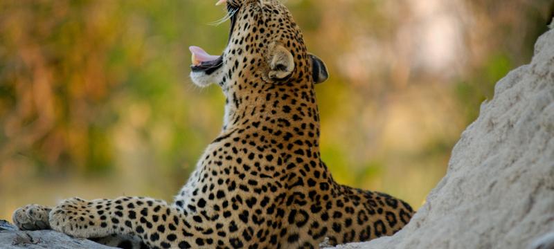 weather Botswana South-East District