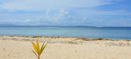 weather Fiji Namarai