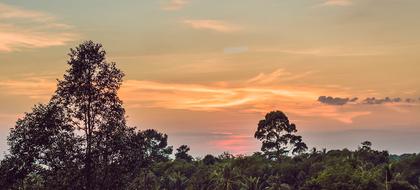 weather Gabon Ndendé