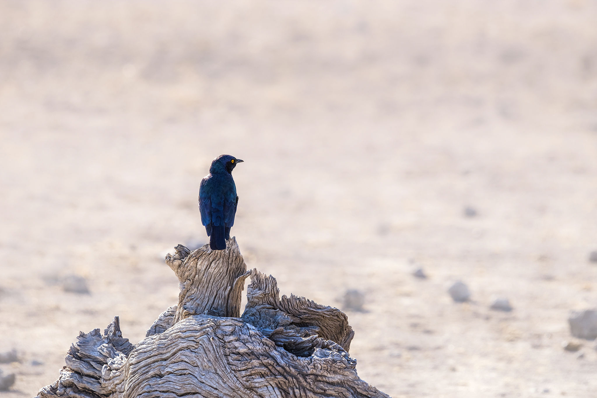 Weather Forecast Juba South Sudan (Central Equatoria) free 15 day