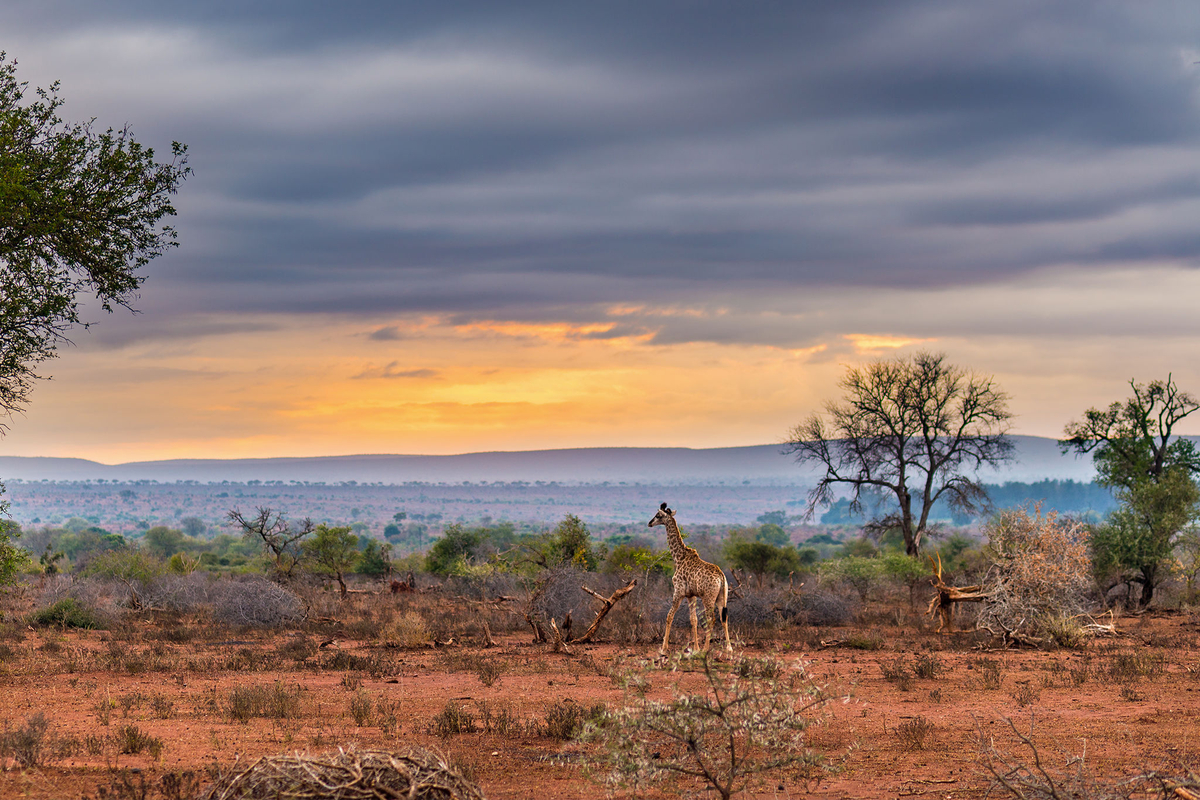 Cradle of Humankind