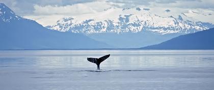 weather United States Unalaska