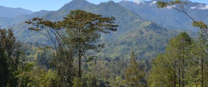 weather Papua New Guinea Islands Region