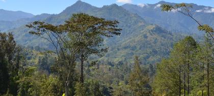 weather Papua New Guinea Highlands Region