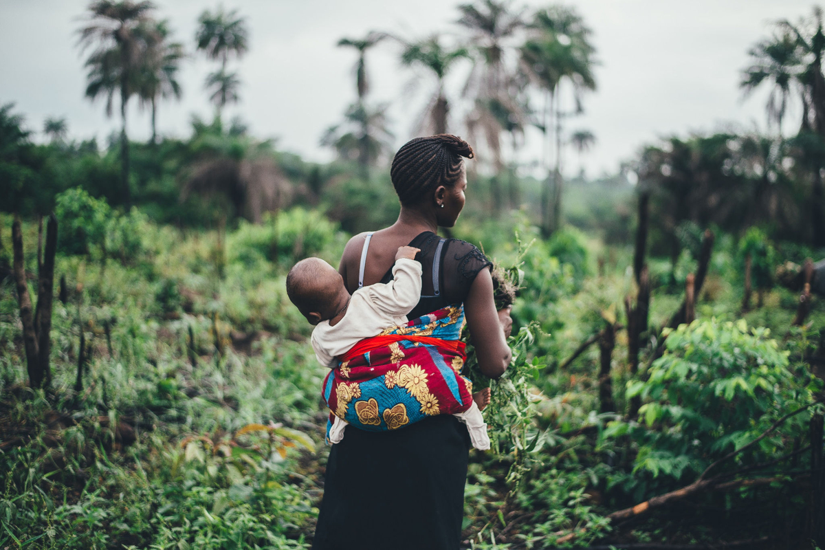 Weather Forecast Mile 91 SierraLeone (Northern Province) free 15