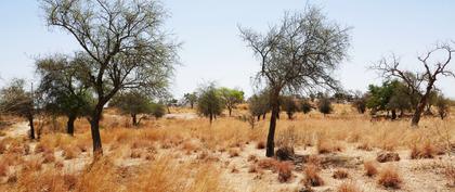 weather Burkina Faso Nicéo