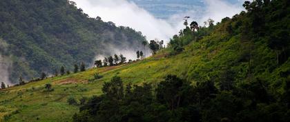 weather Equatorial Guinea Medouneu