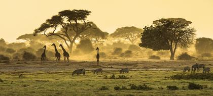 weather Africa