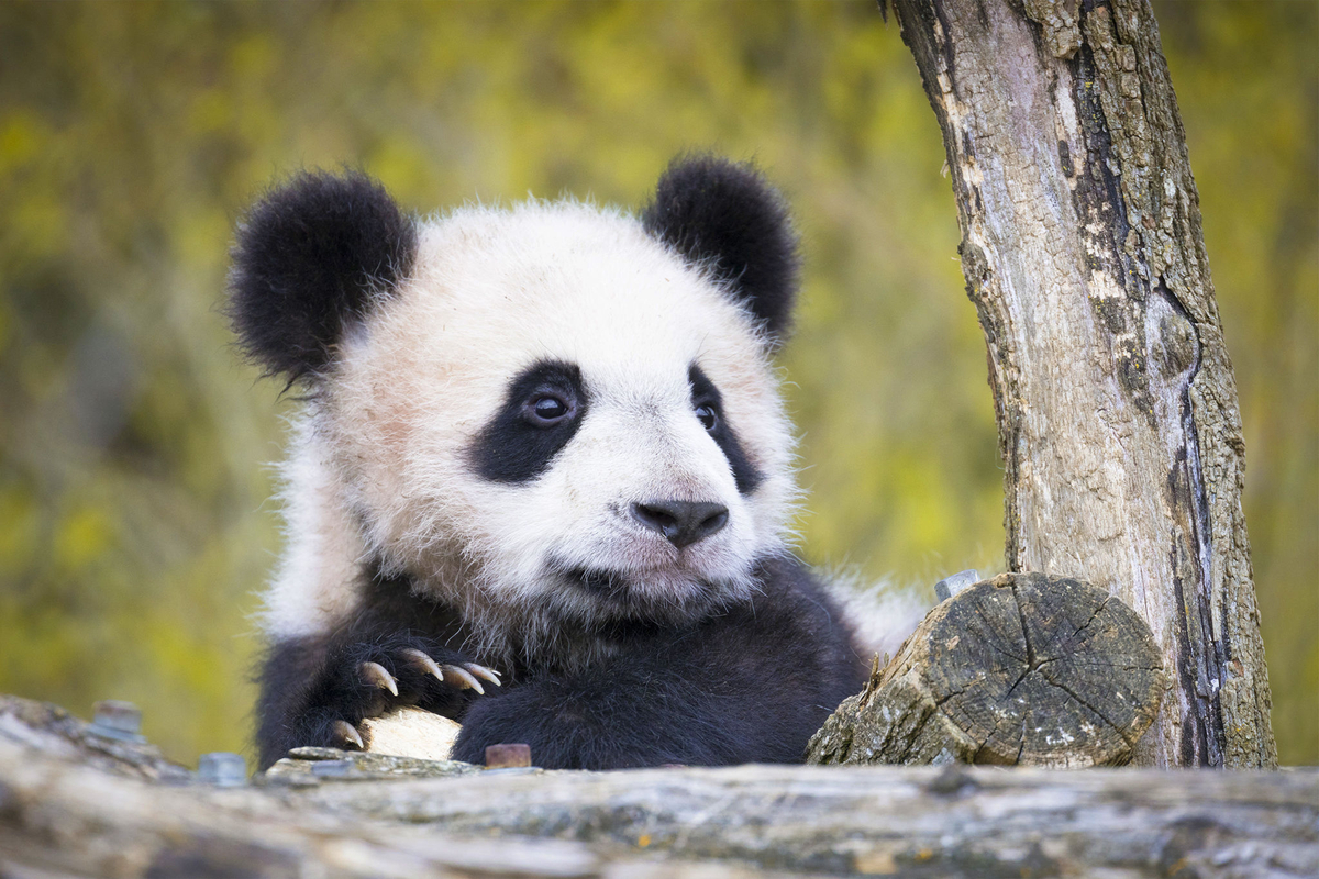 meteo zoo beauval heure par heure