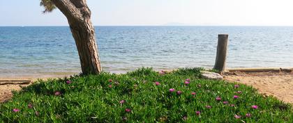 weather France Plage de Pansard