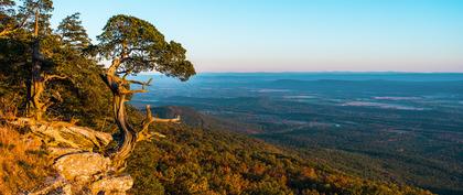 meteo Etats-Unis North Little Rock