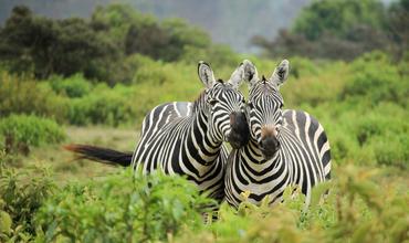 Afrique du Sud