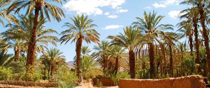 meteo Maroc Zagora