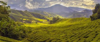 meteo Malaisie RPR Matang Sungai Tengah 2