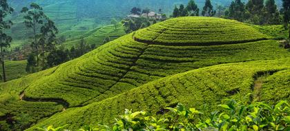 meteo Sri Lanka Eastern Province