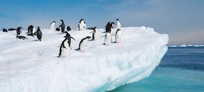 meteo Antarctique