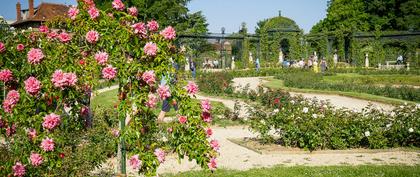 tiempo Francia L'Haÿ-les-Roses