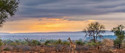 tiempo Sudáfrica Roodepoort