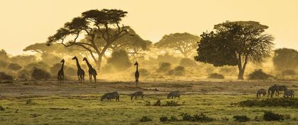 tiempo África