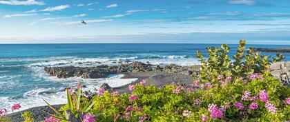 tiempo Islas del Océano Atlántico