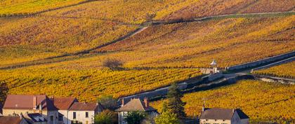 meteo Francia Auxey-Duresses