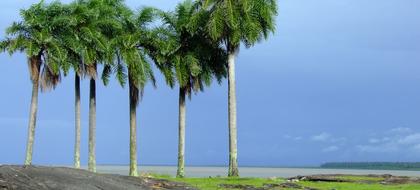 meteo Francia Kourou