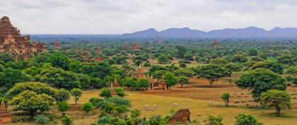 meteo Myanmar Zaha