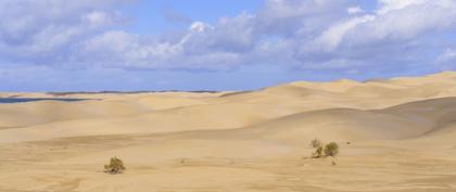 weather Morocco Laayoune