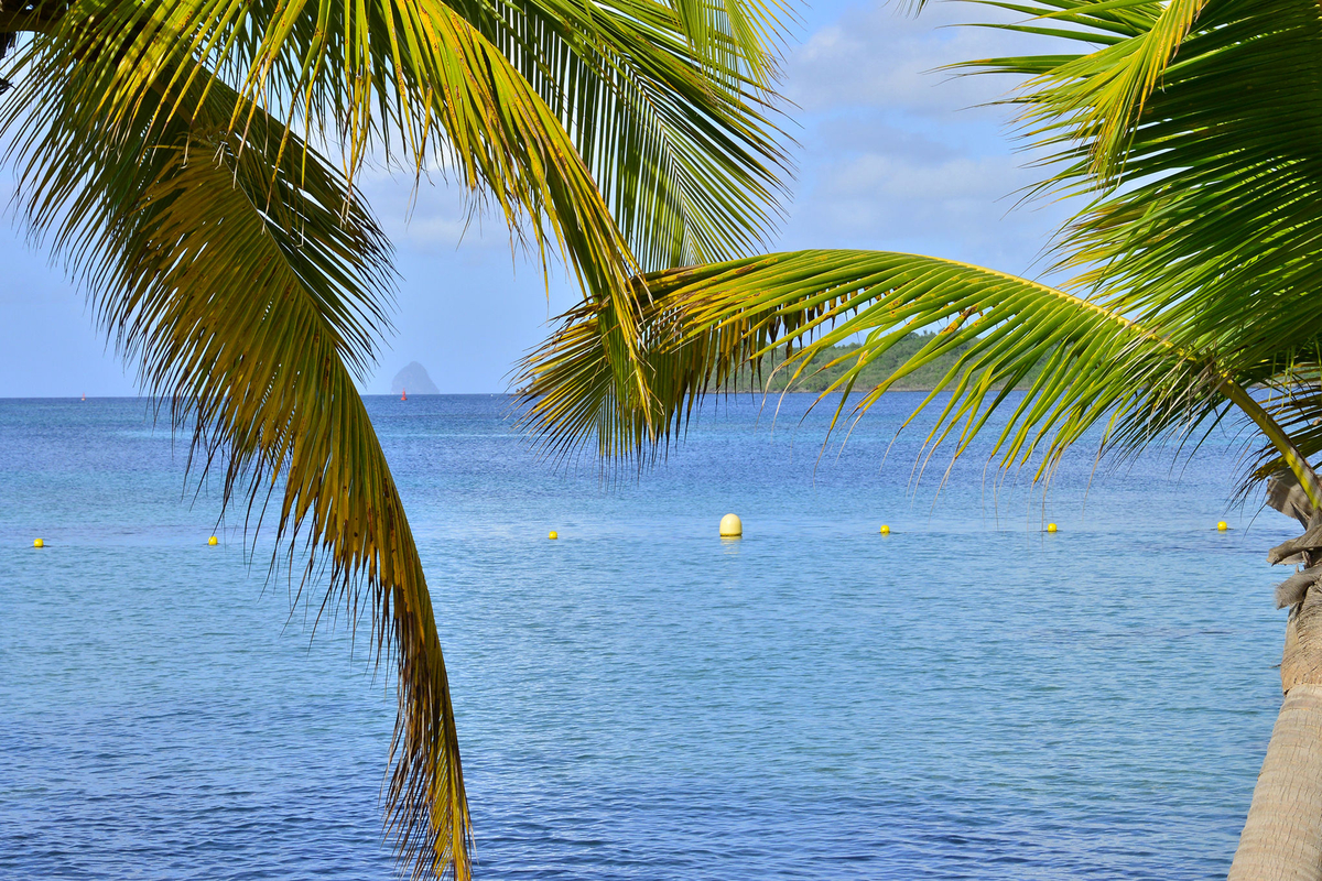 Weather Forecast SainteAnne (97227) Martinique free 15 day weather